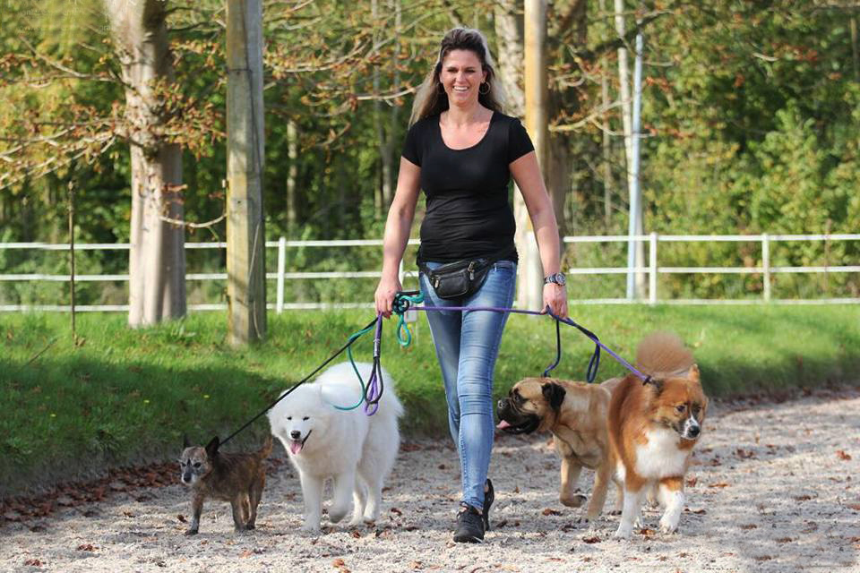 Gedragstherapie voor honden