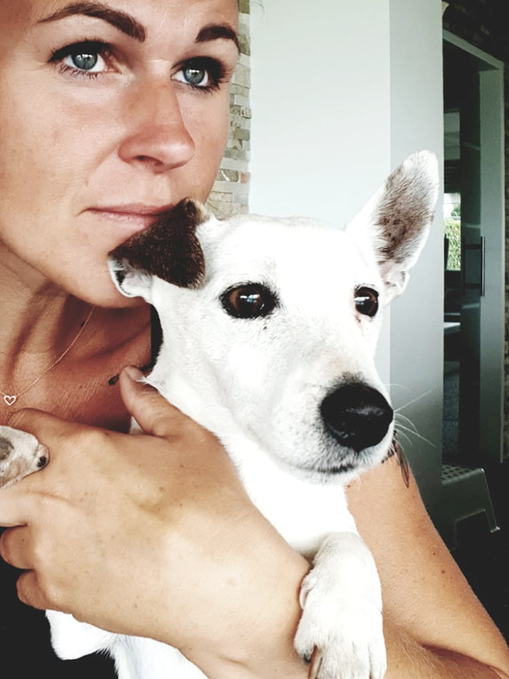 Toegepast precedent temperen Honden gedragstherapeut - Hondengedragsdeskundige Angelique Prins