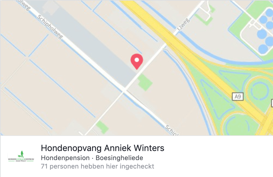 Patois Koningin Laatste Hondengedragsdeskundige Anniek Winters Archieven - Hondengedragsdeskundige  Angelique Prins