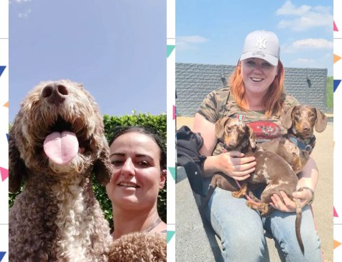 Team uitbereiding