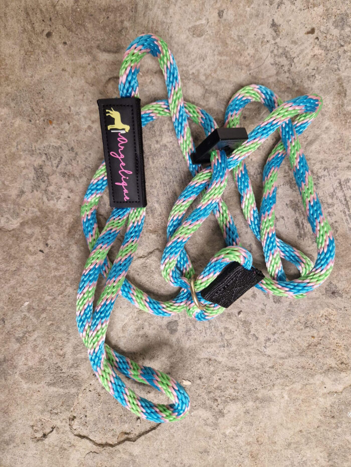 Professionele hondenriem voor honden tot 8 kg - Afbeelding 7