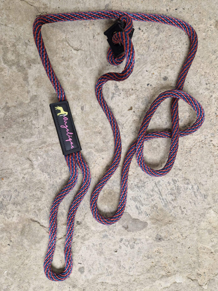 Professionele hondenriem voor honden tot 8 kg - Afbeelding 6