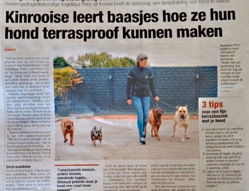 Kinrooise leert baasjes hoe ze hun hond terrasproof kunnen maken
